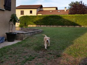 20150827_194307.jpg