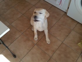 20150829_175852.jpg