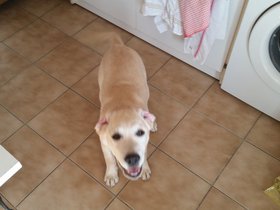 20150829_175853.jpg