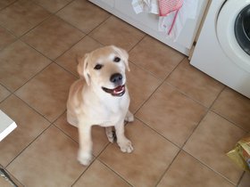 20150829_175905.jpg