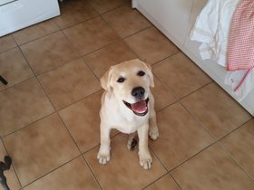 20150829_175909.jpg
