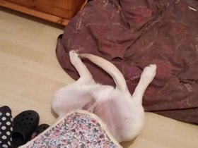 20150925_213158.jpg