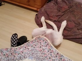 20150925_213207.jpg