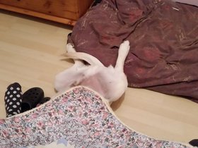 20150925_213233.jpg