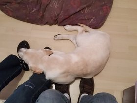 20150925_231956.jpg