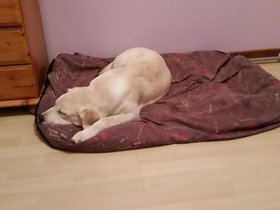 20150927_211253.jpg