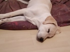 20150927_213529.jpg