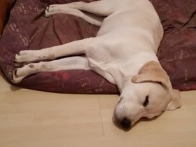 20150927_213541.jpg