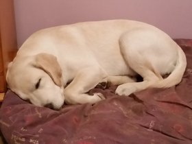 20150927_223508.jpg