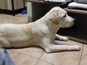 20151107_202617.jpg