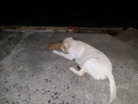20151110_223025.jpg