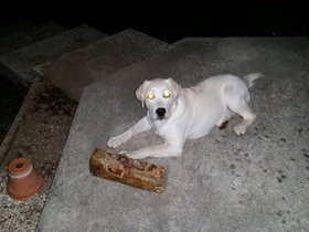 20151110_223037.jpg