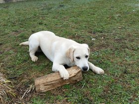20151111_102514.jpg