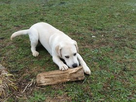 20151111_102517.jpg