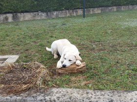 20151111_102539.jpg