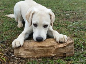 20151111_102543.jpg