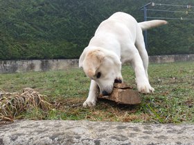 20151111_102558.jpg