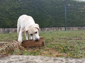 20151111_102602.jpg
