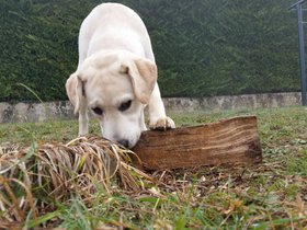 20151111_102606.jpg