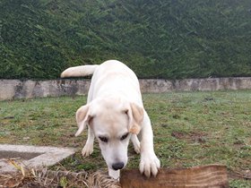 20151111_102609.jpg