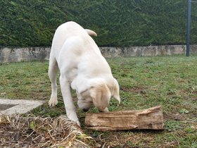20151111_102612.jpg