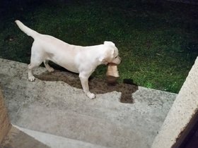 20151112_213735.jpg