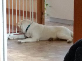 20151121_144306.jpg