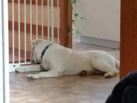 20151121_144313.jpg