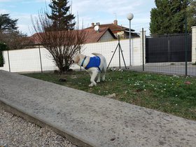 20151224_140424.jpg