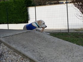 20151224_140430.jpg