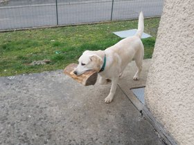 20160128_153739.jpg