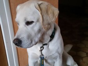 20160131_161357.jpg