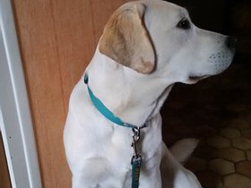 20160131_161411.jpg