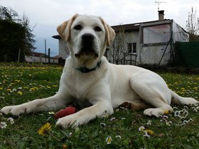20160409_151908.jpg
