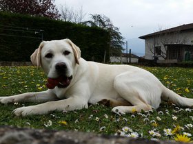 20160409_151914.jpg