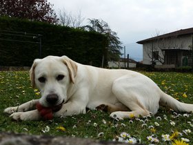 20160409_151918.jpg