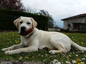 20160409_151921.jpg