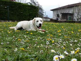 20160409_151935.jpg