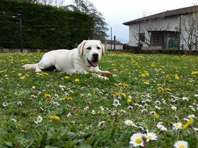 20160409_151938.jpg