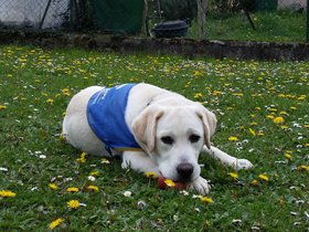 20160409_152154.jpg