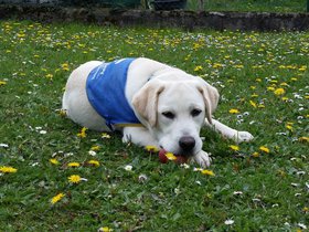 20160409_152157.jpg