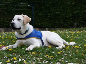 20160409_152220.jpg
