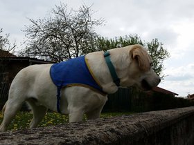 20160409_152231.jpg