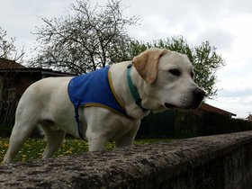 20160409_152233.jpg