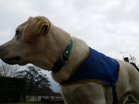 20160409_152240.jpg