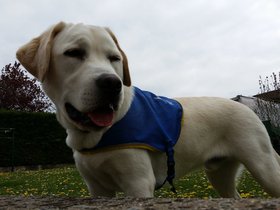 20160409_152252.jpg