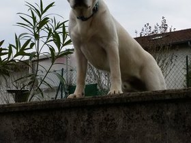 20160409_155947.jpg