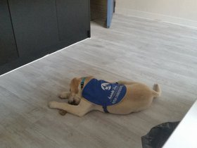 au_bureau