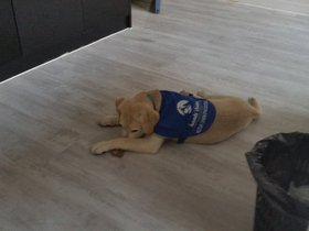 20150813_115351.jpg