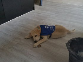 20150813_115357.jpg
